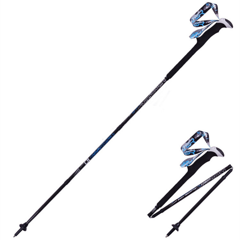 PIONEER Carbon Fiber Trekking - Trekking Pole Carbon recension och pris