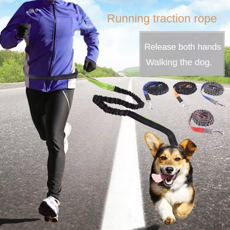 Running Jogging Gear - Hand Free Dog Leash for Pet