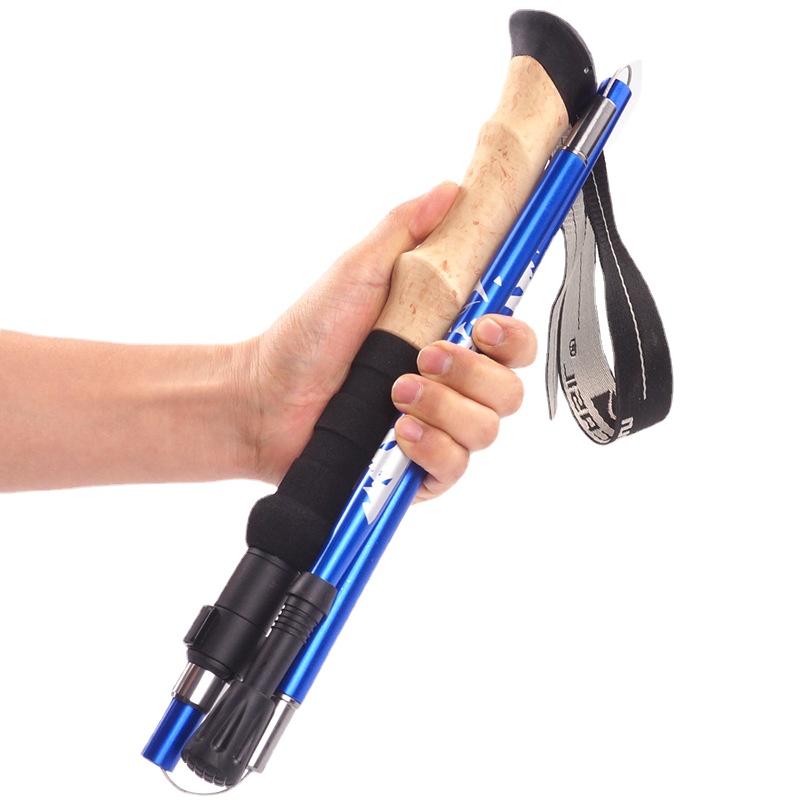Carbon Fiber 5 Section Ultrali - Trekking Pole Carbon recension och pris