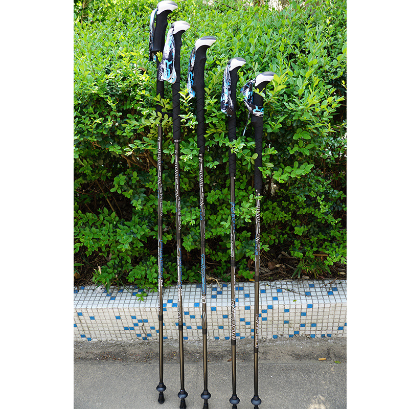 PIONEER Carbon Fiber Trekking  - Trekking Pole Carbon recension och pris
