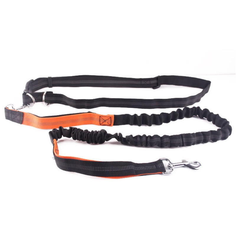 Hand Free Dog Leash for Pet Wa - Running Jogging Gear recension och pris