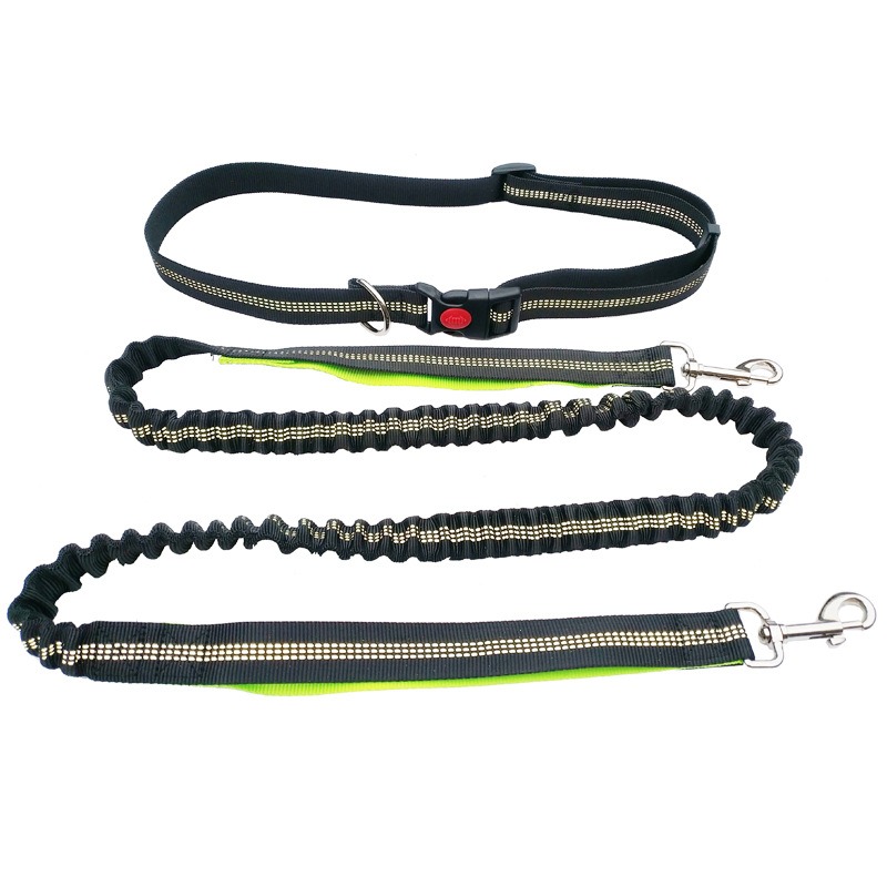 Hand Free Dog Leash for Pet Wa - Running Jogging Gear recension och pris